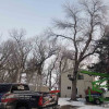 Our Work Simpson & Sons Tree Service