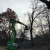 Our Work Simpson & Sons Tree Service